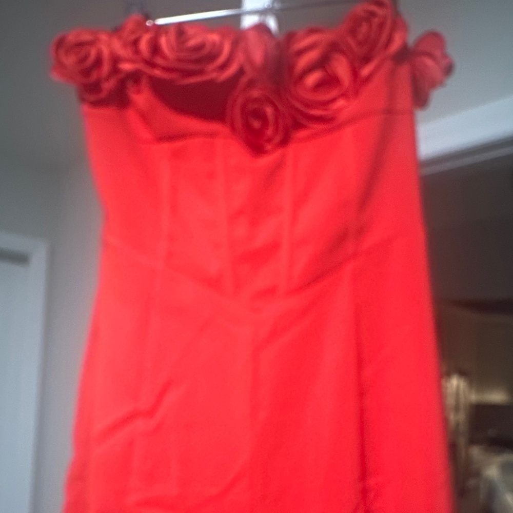 New red romper with roses 🌹 on top